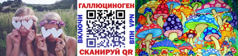 наркота  Полярные Зори  Галлюциногенные грибы Magic Shrooms 